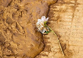 229 nombres en nuestra memoria