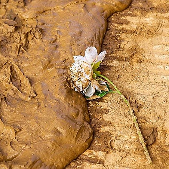 229 nombres en nuestra memoria