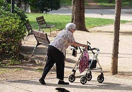 Una mujer camina con andador en el parque.