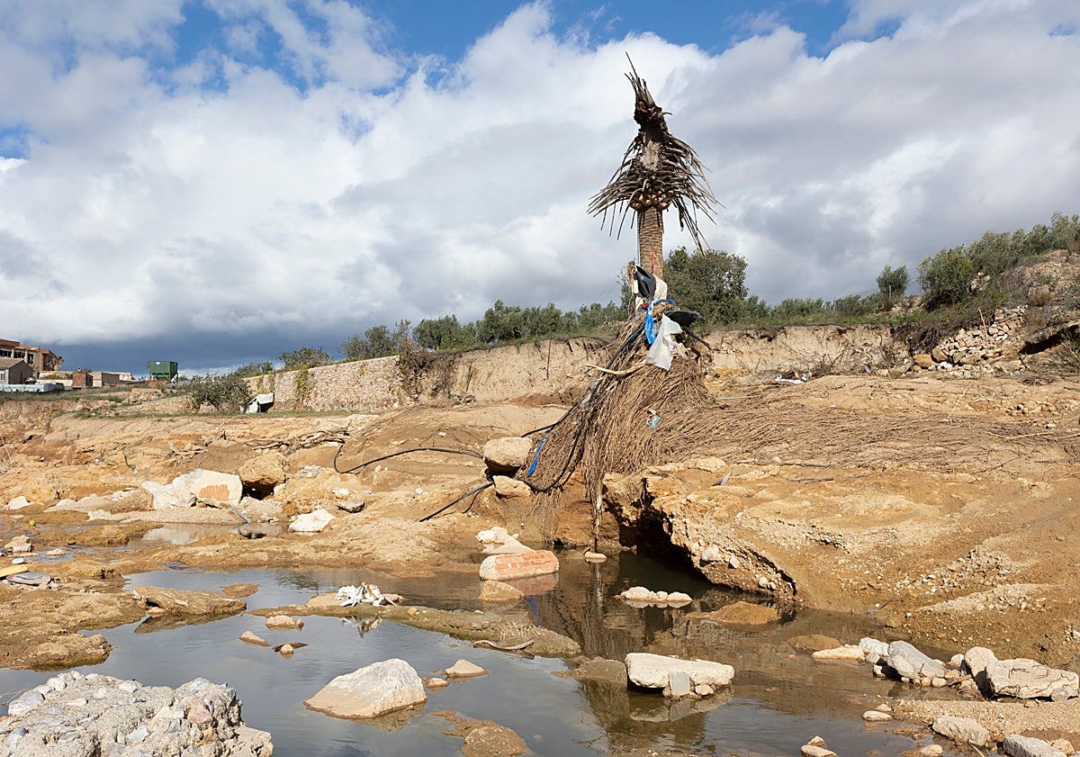 Imagen principal - La memoria arrasada: paisaje después de la dana