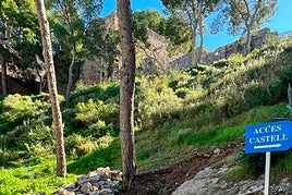 Zona en la que se va a actuar.