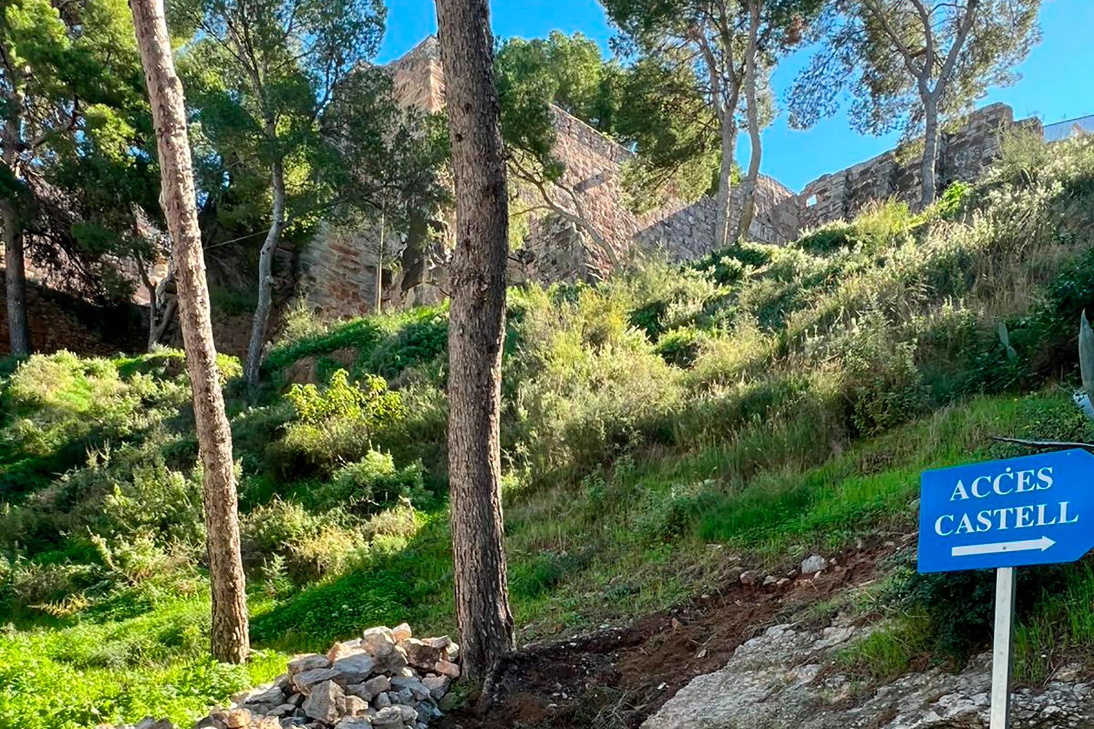 Zona en la que se va a actuar.