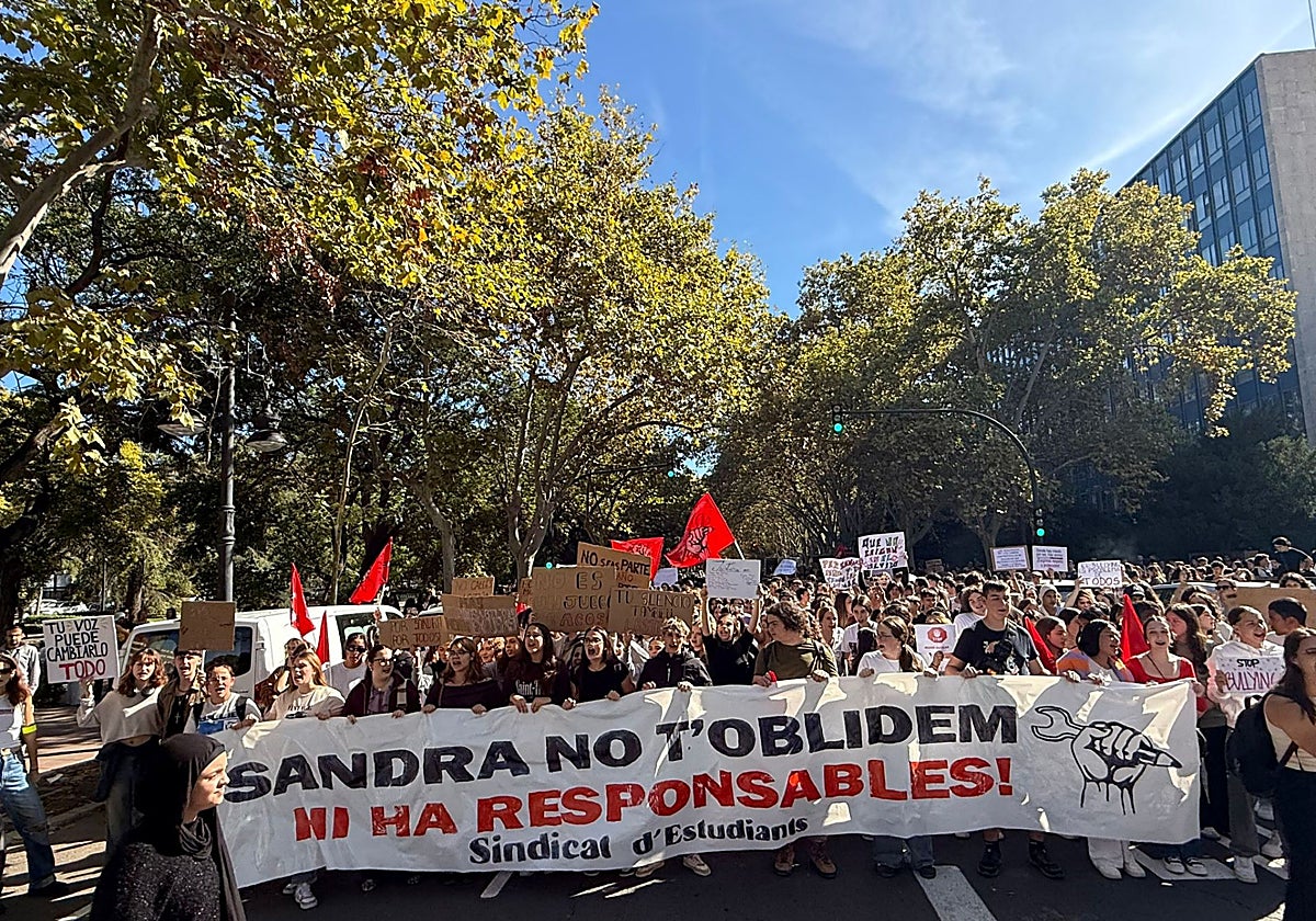 Cabecera de la manifestación de Valencia, en la avenida Blasco Ibáñez.