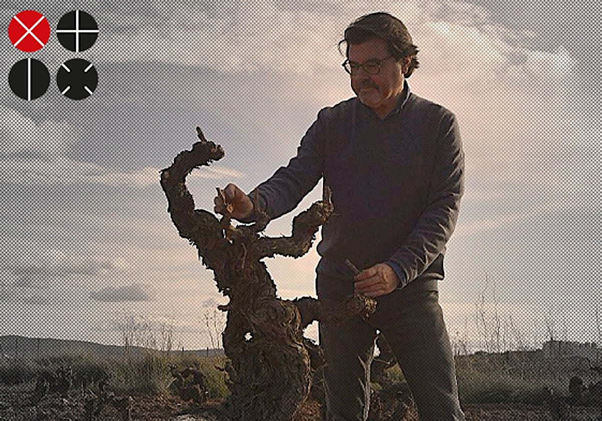 La bodega de Requena que alumbra vinos con alma