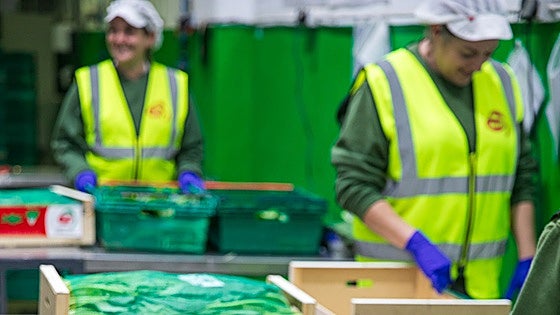 La agricultura necesita nuevas manos para trabajar el campo
