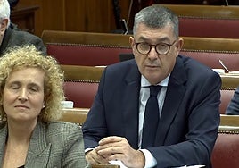 Enric Morera, en la comisión del Senado..