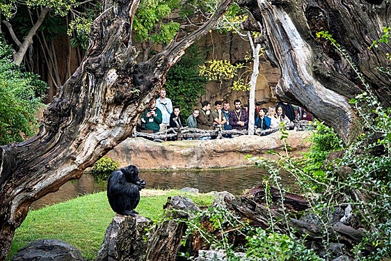 Los expertos en el encuentro en Bioparc Valencia.