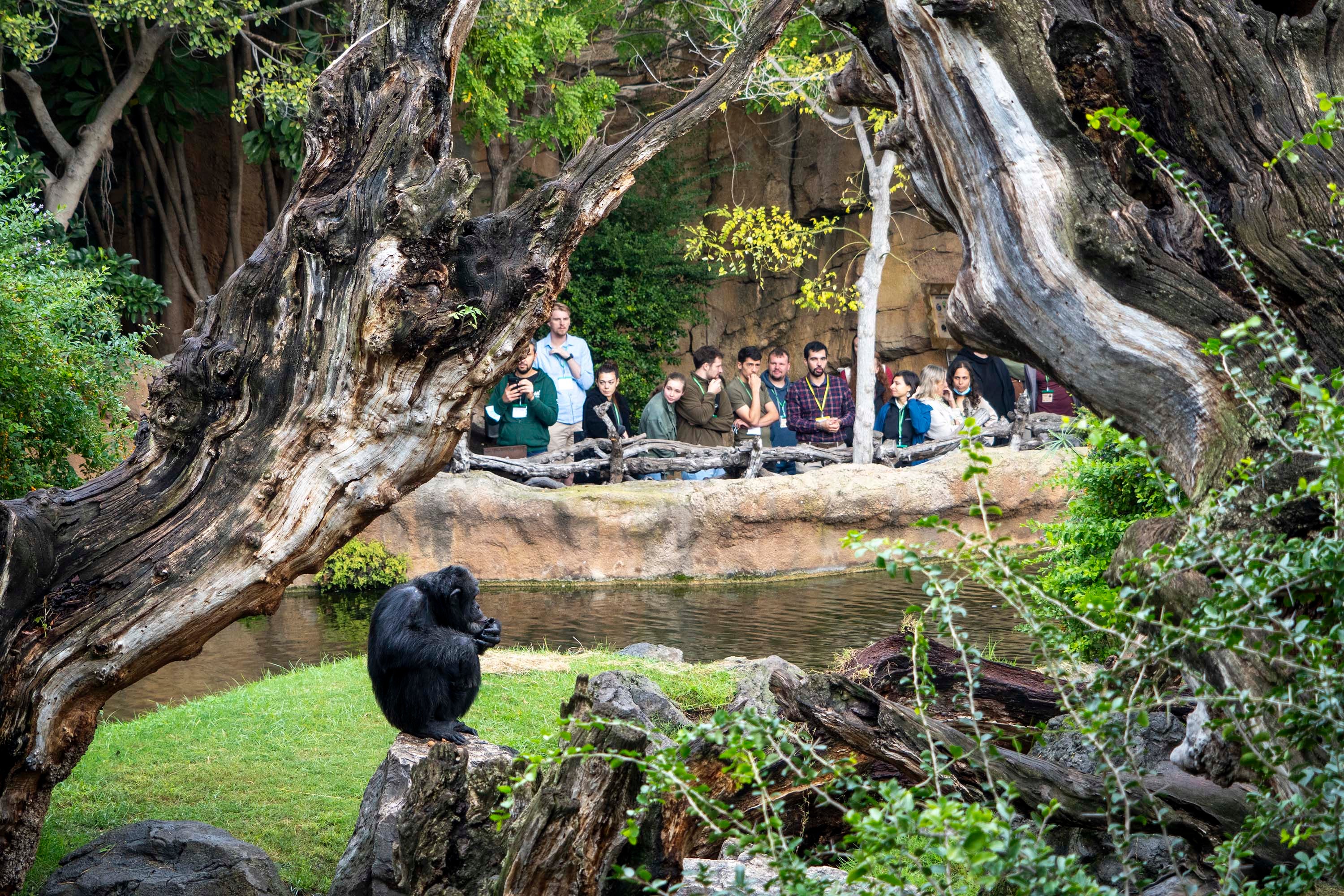Los expertos en el encuentro en Bioparc Valencia.