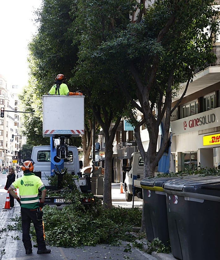 Imagen secundaria 2 - Tarea de poda con vehículos con cesta, en la calle Colón.