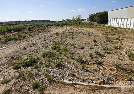 Río Magro a su paso por Alfarb.