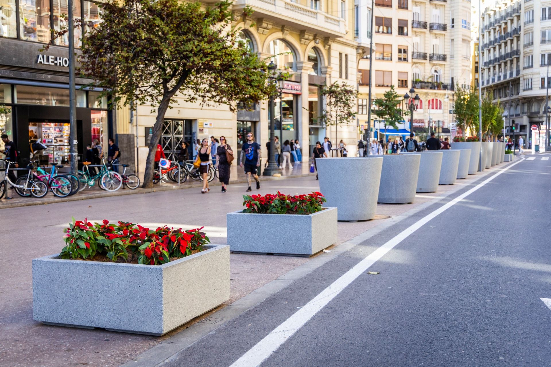 Fotos de los nuevos maceteros en la plaza del Ayuntamiento de Valencia