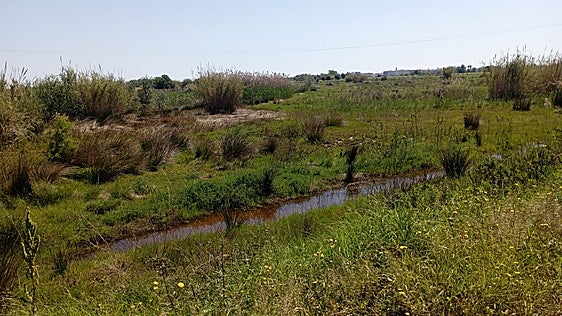 Estado del barranco del Tramusser.