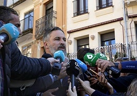 El líder de Vox, Santiago Abascal.