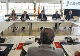 Pleno del Consell, con Mazón