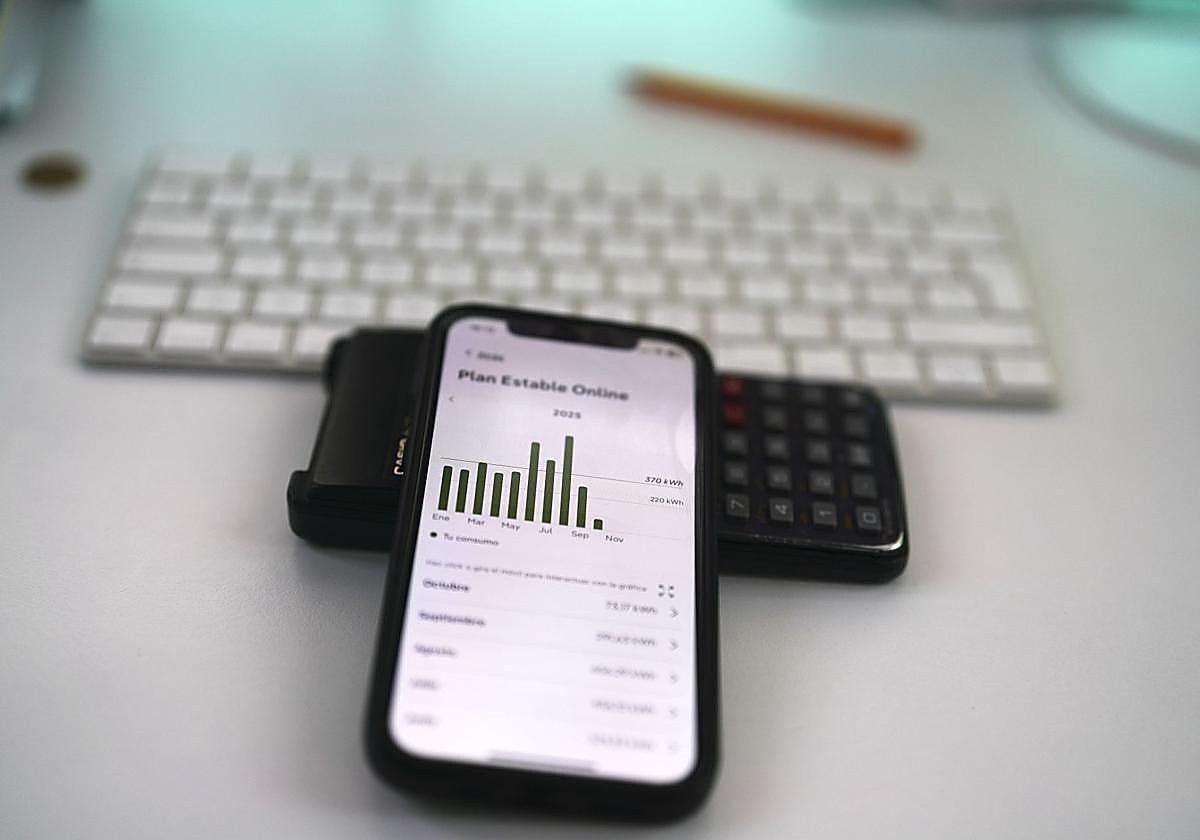 Factura de luz electronica.