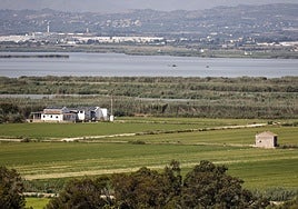 Imagen de archivo de parcelas junto a la laguna de la Albufera.