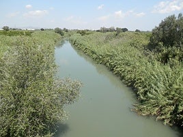 Río Júcar a su paso por Alzira.