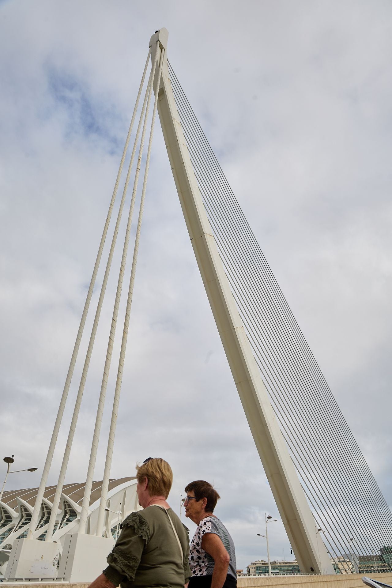 FOTOS | El estado actual del puente de l&#039;Assut