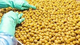 La ciudad que metió una anchoa en una aceituna