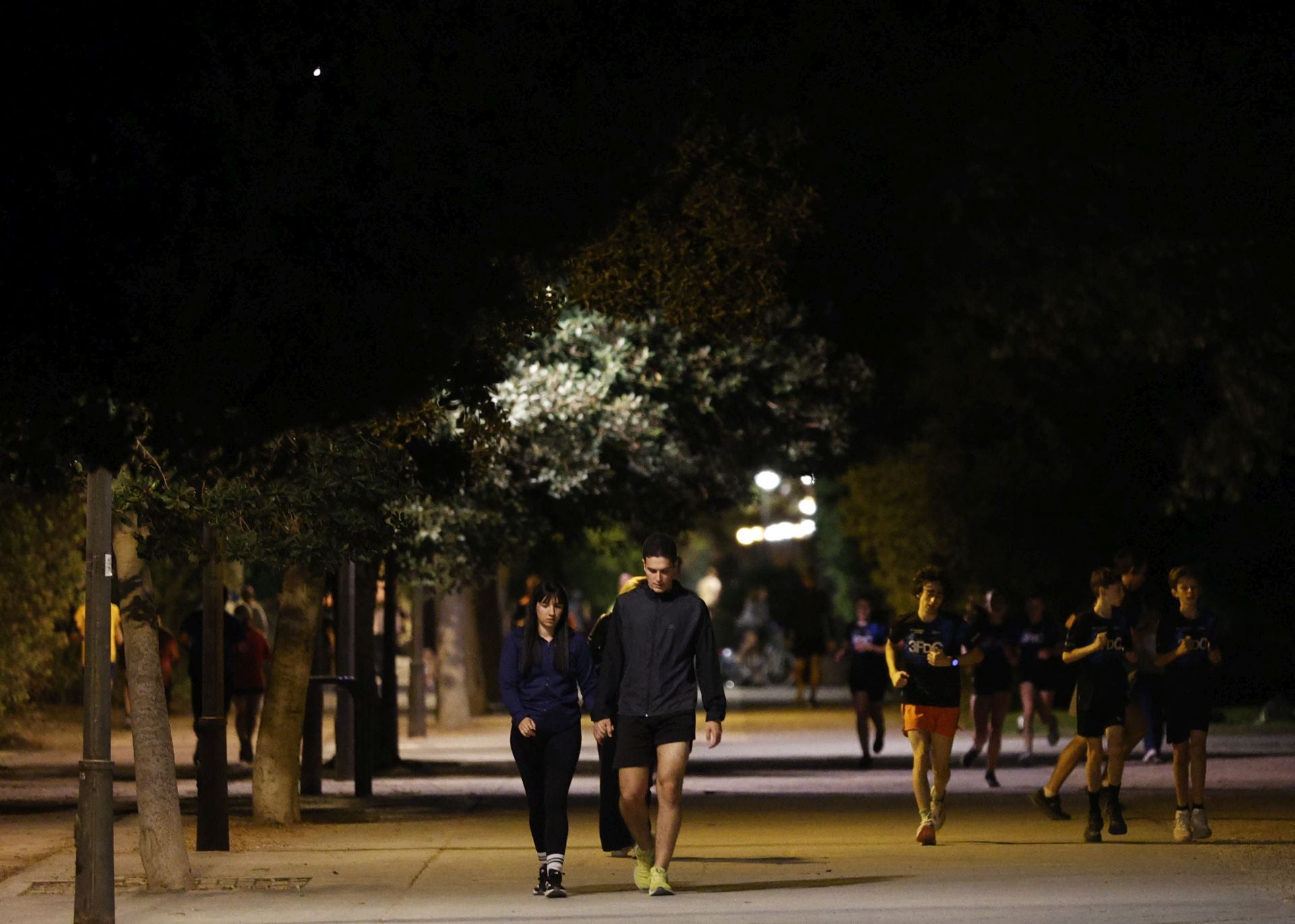 FOTOS | El jardín del Turia de Valencia, a oscuras