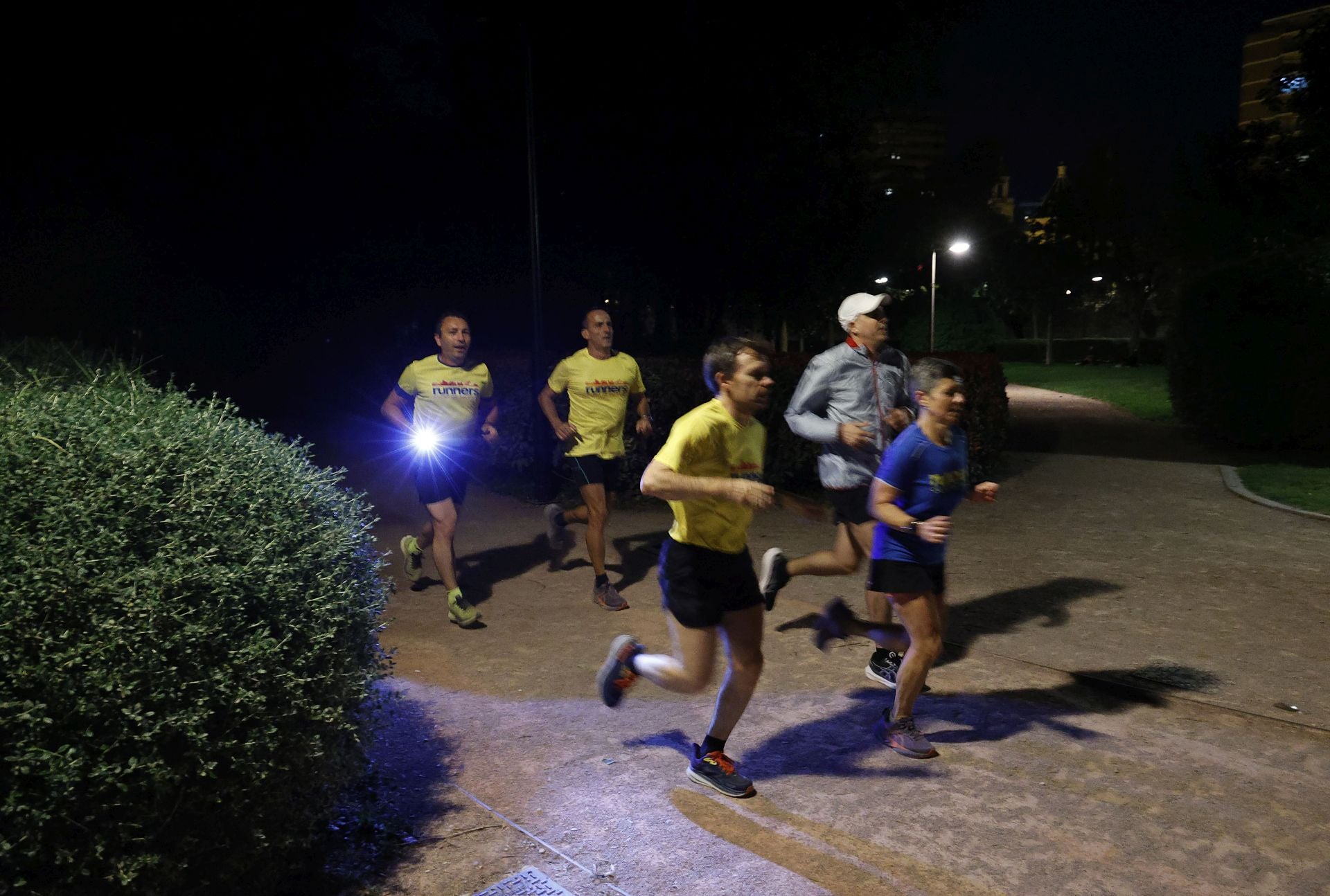 FOTOS | El jardín del Turia de Valencia, a oscuras