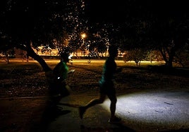 El jardín del Turia, a oscuras.