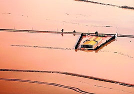 La Albufera, tras la dana de octubre de 2024.