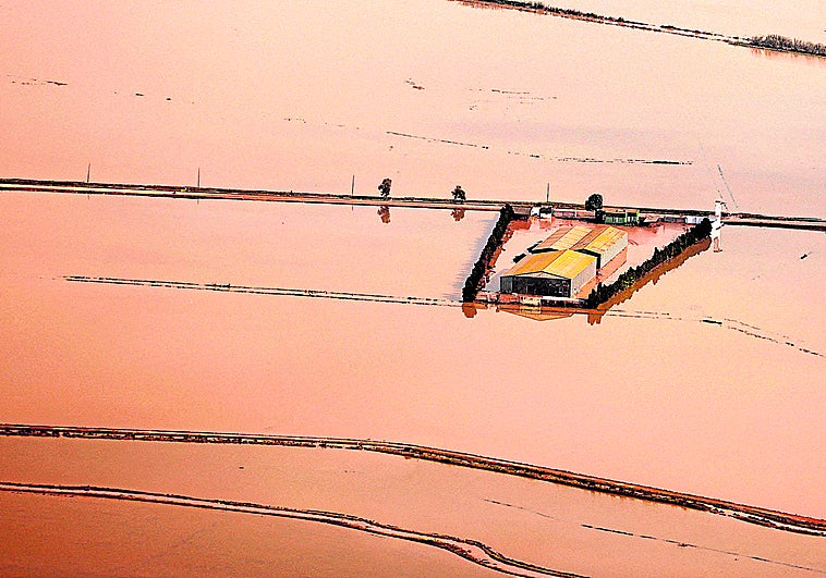 La Albufera: o agua o hacemos un parking
