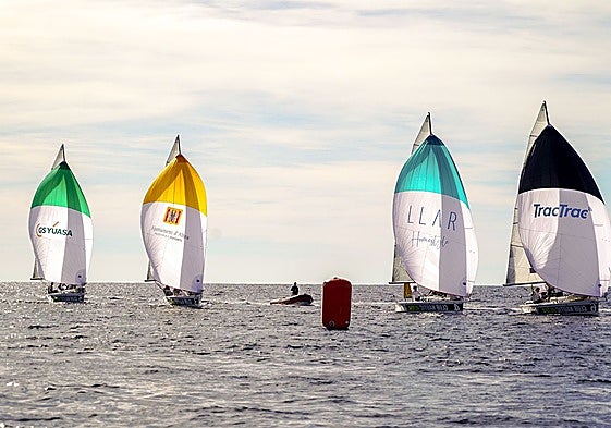 Competición Young Sailing Champion League.