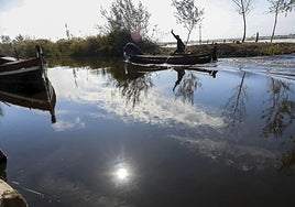 Aguas negras en la Albufera.