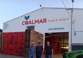 Coalmar Fruits se dedica al comercio al por mayor de frutas y hortalizas.