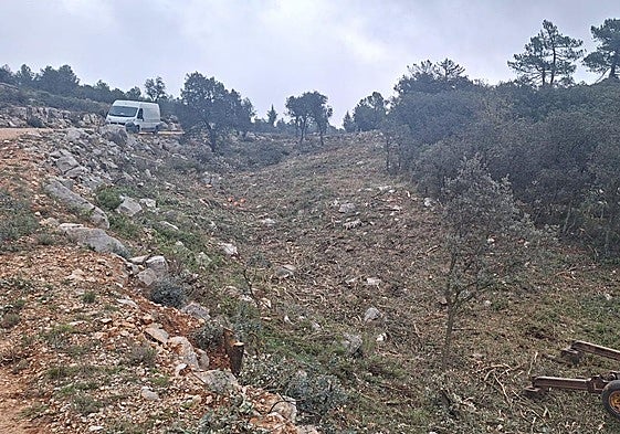Cortafuegos abiertos en el antiguo territorio de Loriguilla.