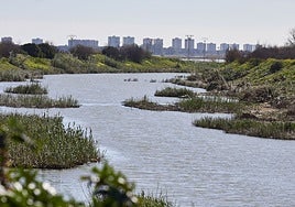 Desembocadura del Poyo en la Albufera.