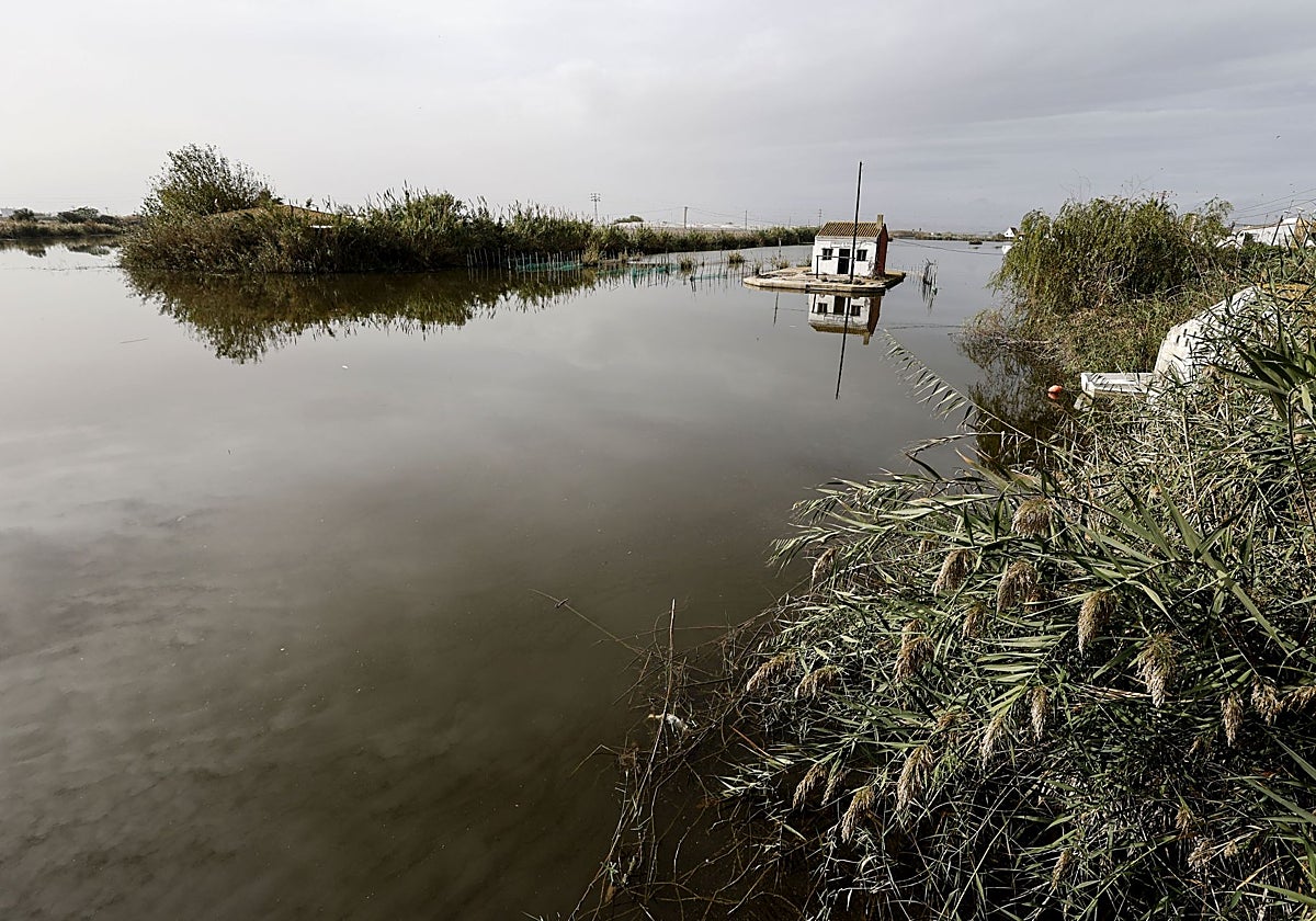 Aguas negras. La calidad del agua es el eje vertebrador para que el paraje se encuentre sano.