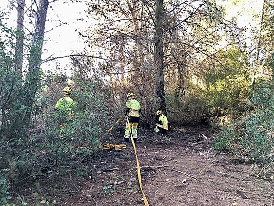 Bomberos forestales junto a uno de los focos.