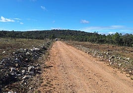 Trabajos realizados en el término municipal de Loriguilla.