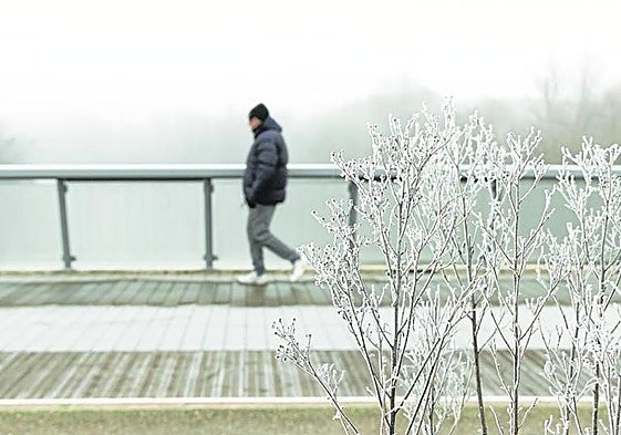 Nevada en una imagen de archivo.