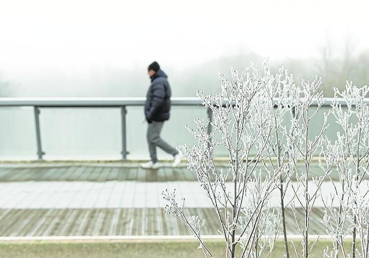 Nevada en una imagen de archivo.