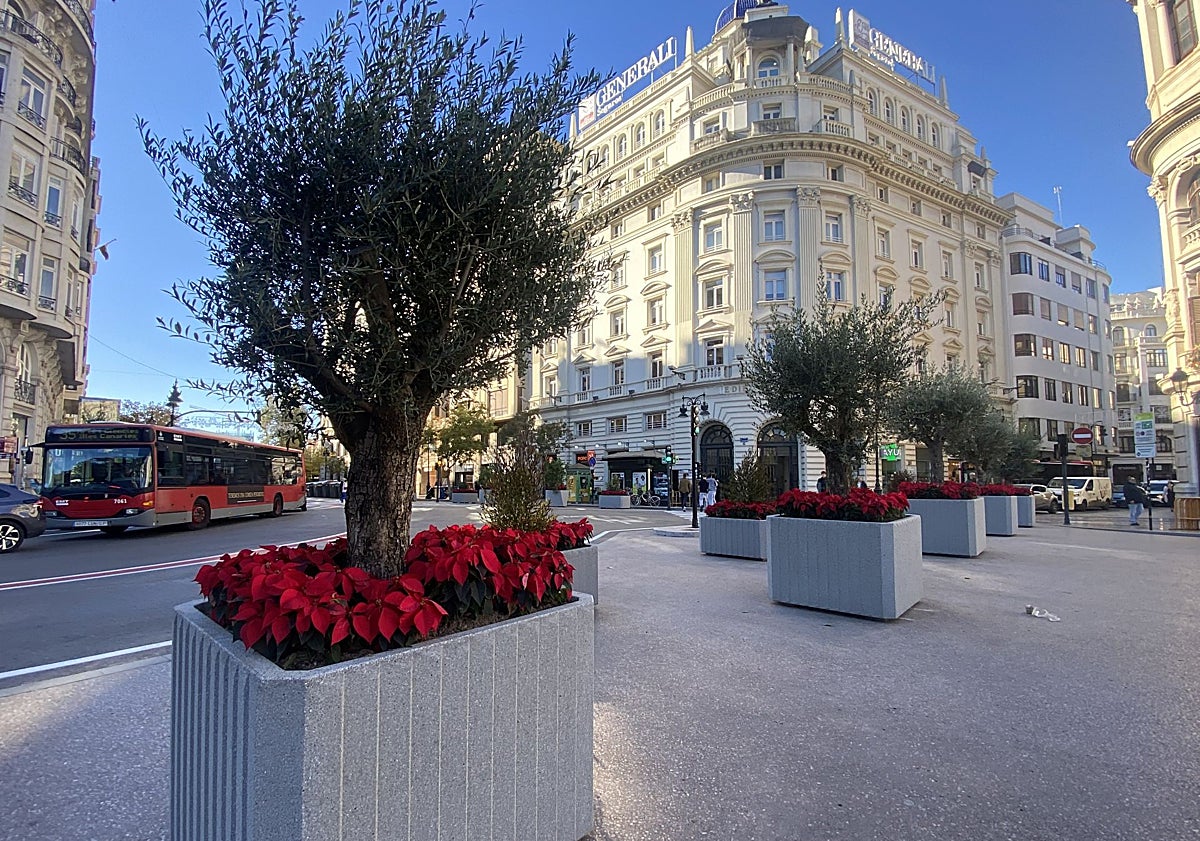 Imagen principal - Riego de las plantas de Navidad y carrusel.