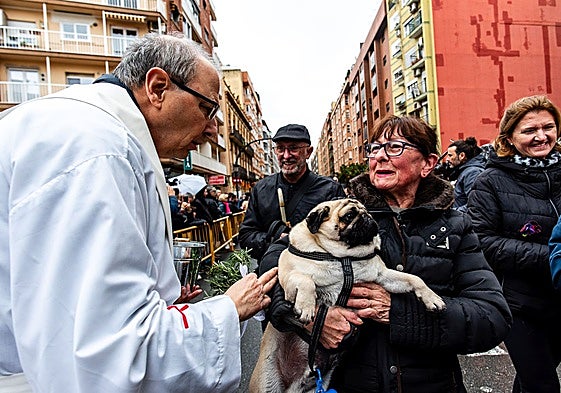 Bendición de animales organizado por la hermandad de San Antonio Abad, en la pasada edición.