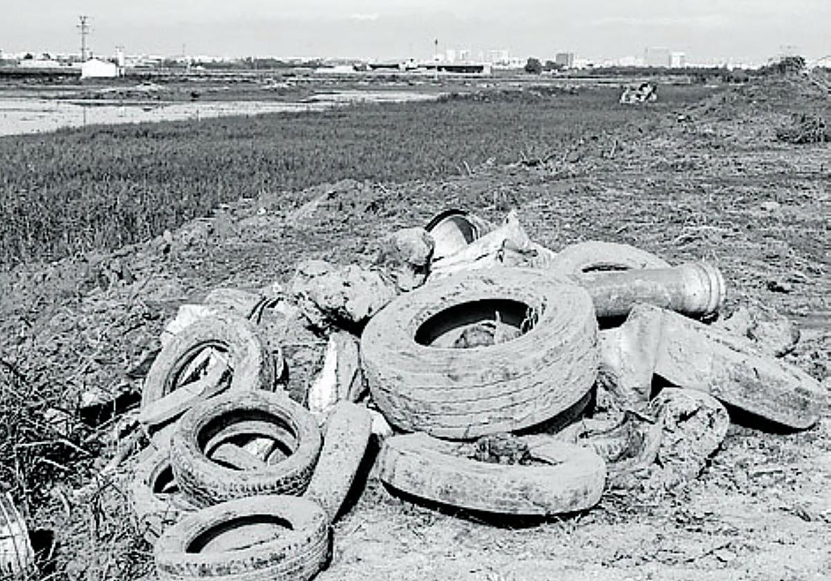 Reencontrarnos con la naturaleza