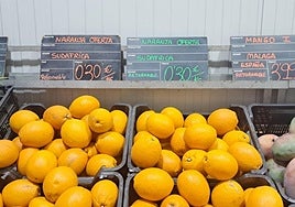 Paradojas. El mundo al revés: en la tierra de las naranjas y en plena campaña local, hay a la venta las de Sudáfrica; en cambio, los exóticos mangos son españoles.