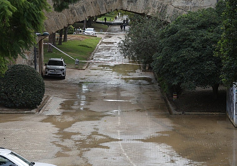 Restos de la inundación, este lunes en el Jardín del Turia.