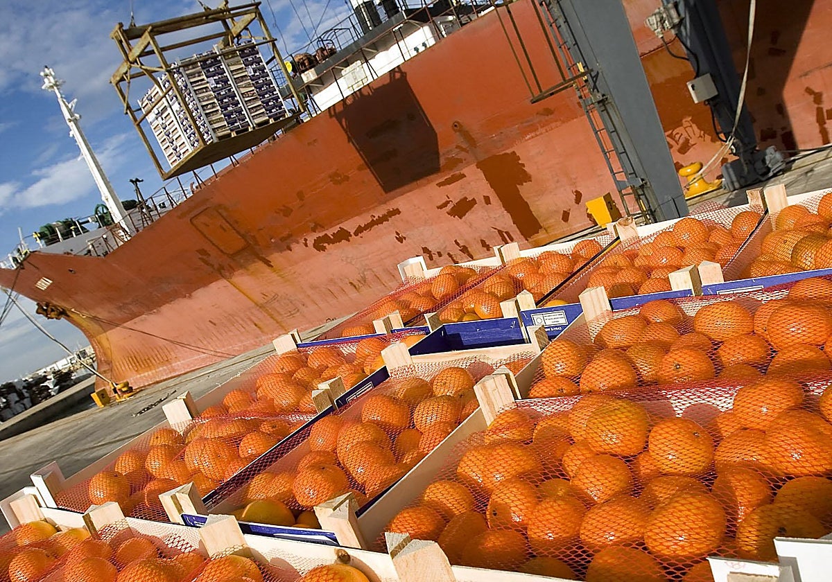 Naranjas de una empresa valenciana.