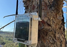 Dispositivo colocado en un árbol.