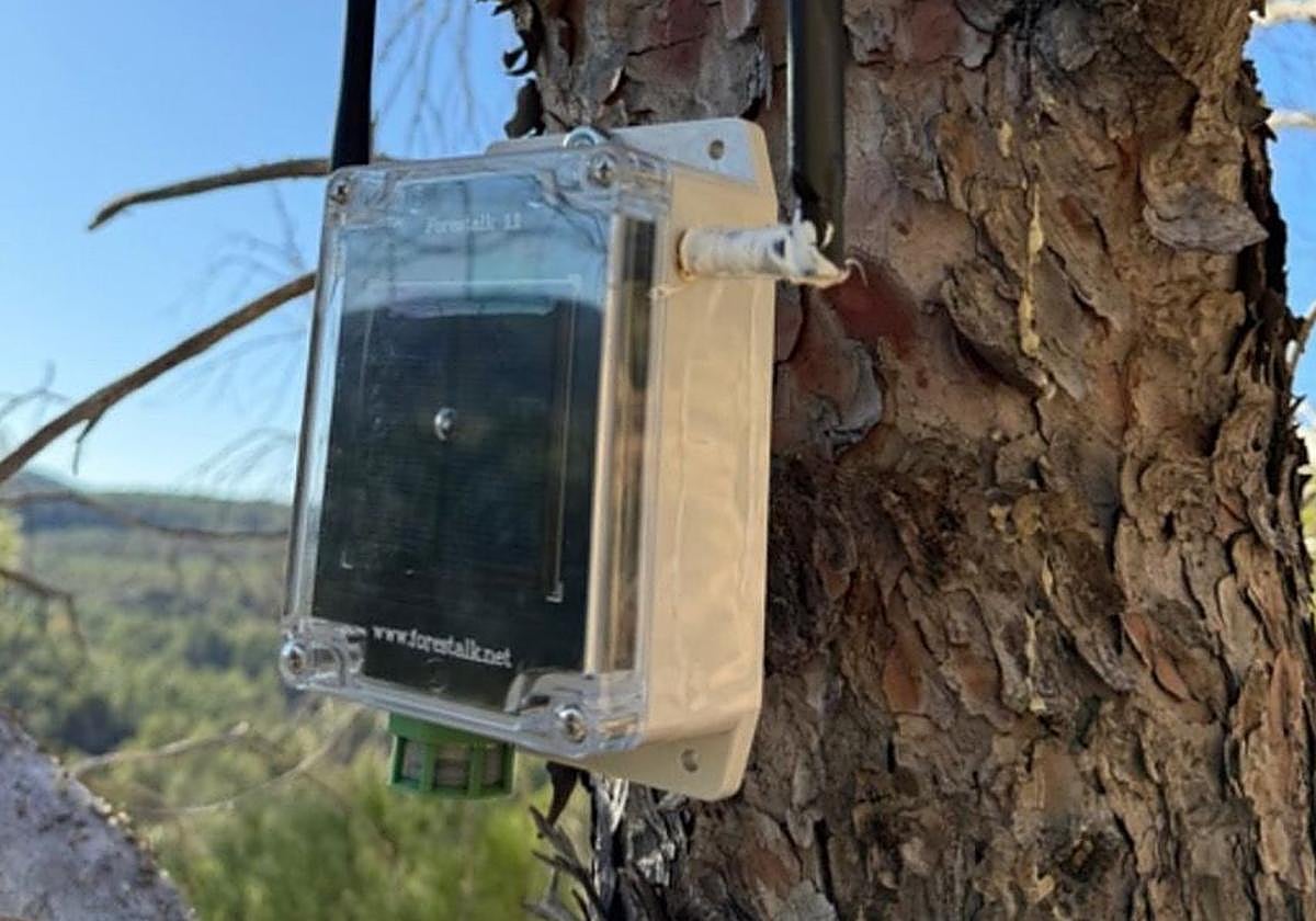 Dispositivo colocado en un árbol.