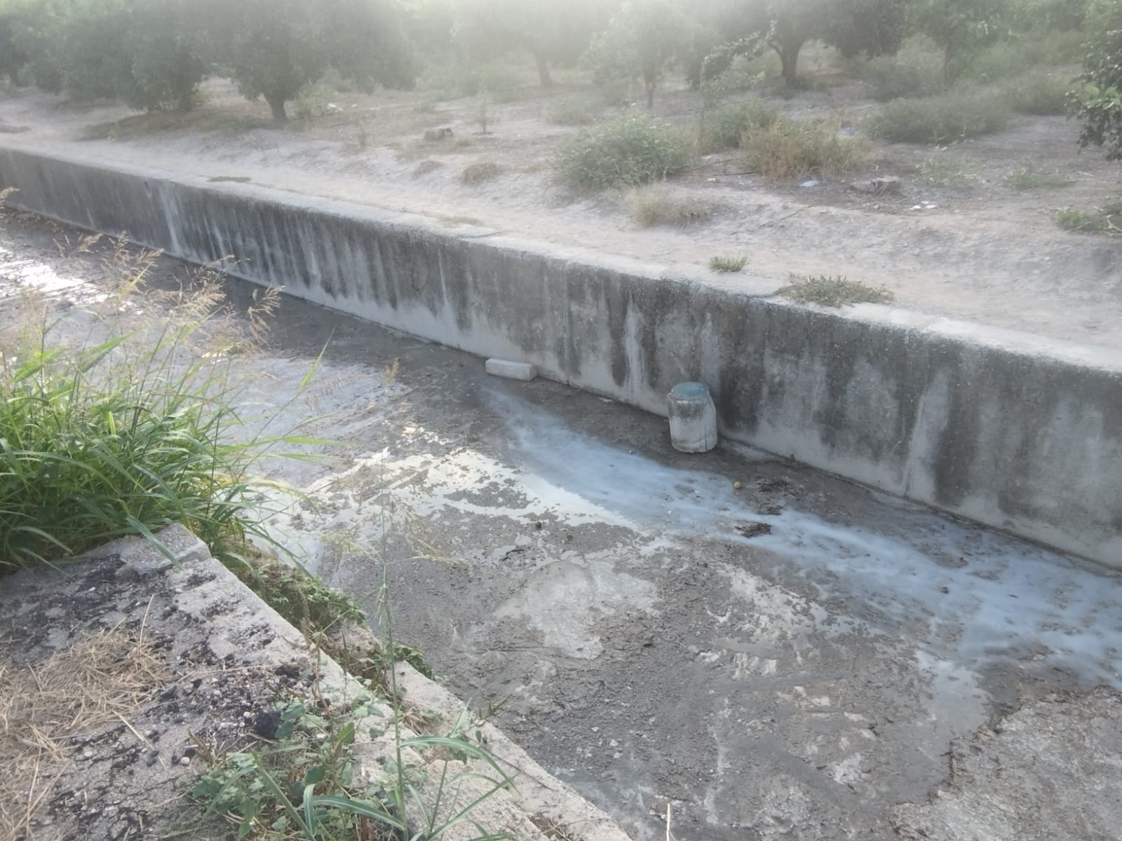 Barranco de Sotaia a su paso por Bellreguard.