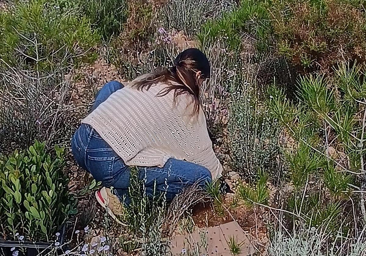 Reforestan un bosque en Pedralba con la plantación de 125 árboles