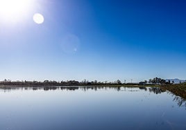 Vista de la Albufera.