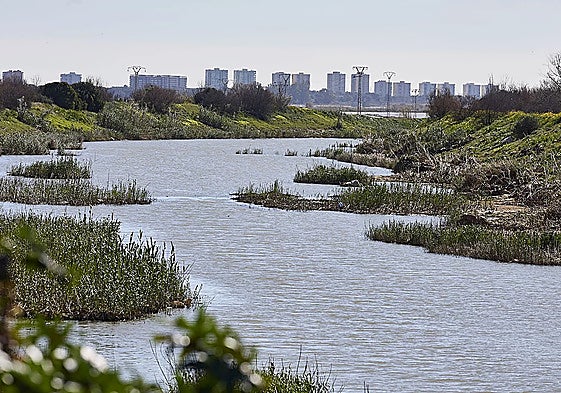 Barranco del Poyo a su paso por la Albufera.